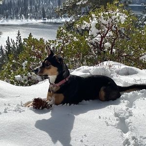 Meet your Posher, Lesley